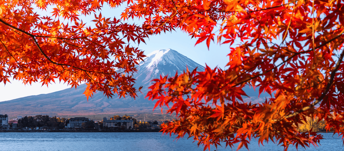 Momiji, i migliori posti per ammirare il foliage giapponese
