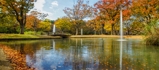 Yoyogi Park
