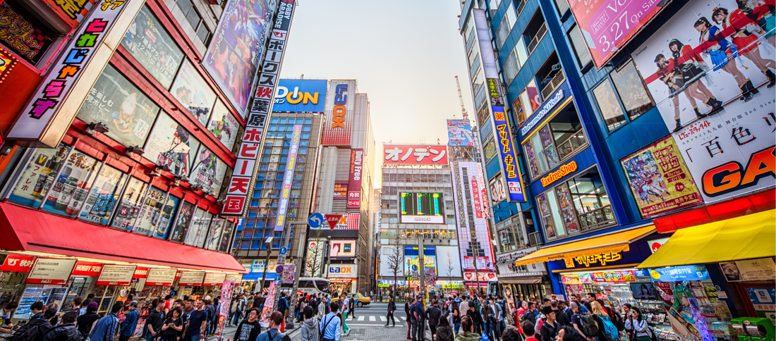 BIC CAMERA e Yodobashi CAMERA