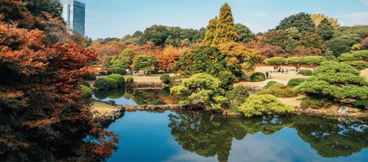 Shinjuku Gyoen National Garden