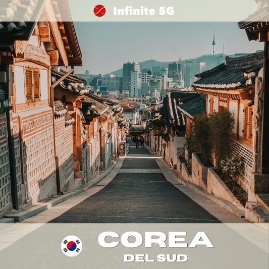 🇰🇷 eSIM - Corea del Sud