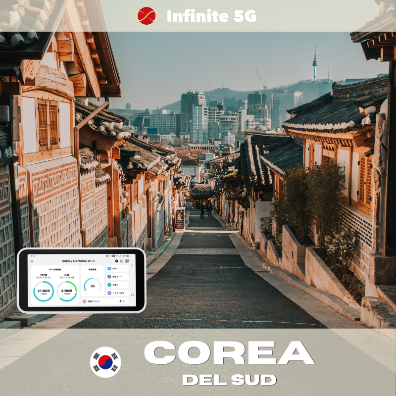 Pocket Wifi - Japan