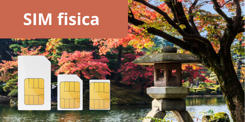 SIM fisica per il Giappone – connessione 4G tra i colori dell’autunno giapponese
